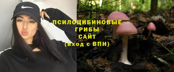 таблы Надым