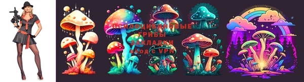 прущая мука Наволоки