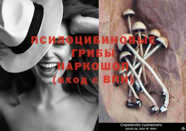 твердый Володарск